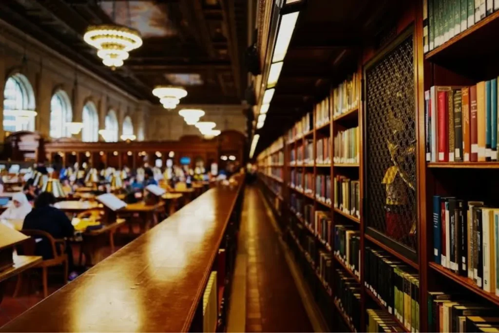 Program Study Abroad